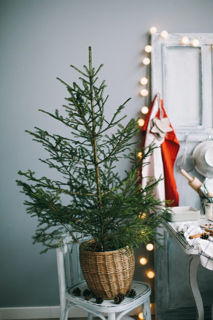 12 ways to have a more sustainable Christmas
