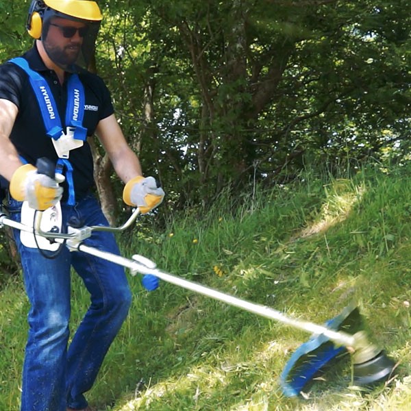 Examining the 3 Main Types of Strimmer MY UNIQUE HOME