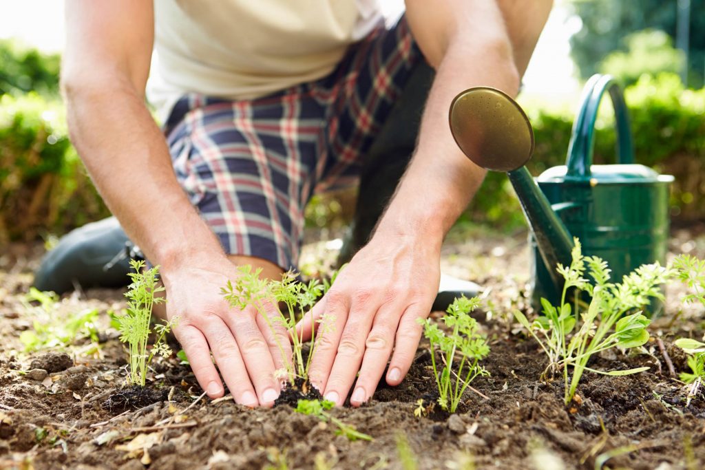Five Health Reasons to Garden by Dr Sally