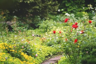 Taking Care of Your Garden Throughout the Year